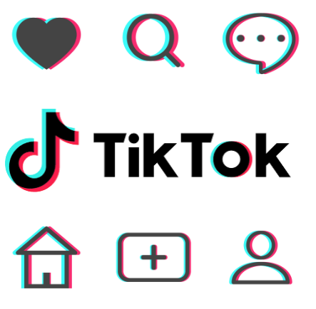 Unlocking the TikTok Algorithm